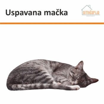 Naljepnica za prozore - Uspavana mačka u obliku sive mačke koja spava