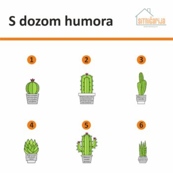 Motivacijske naljepnice- S dozom humora, set od 6 naljepnica u obliku kaktusa s duhovitim izrekama