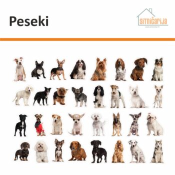 Male naljepnice za sve i svašta - Peseki; set od 32 naljepnice s fotografijama pasa različitih pasmina